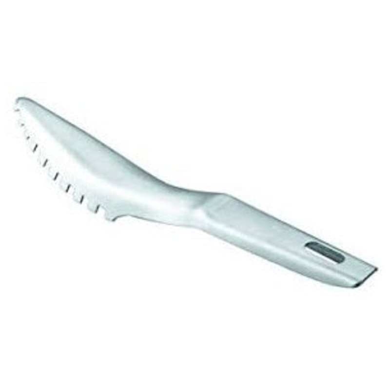 ST STEEL FISH SCRAPER 19CM