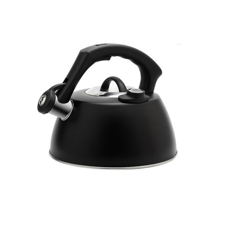 Stainless Steel Whistling Temperature Display Kettle