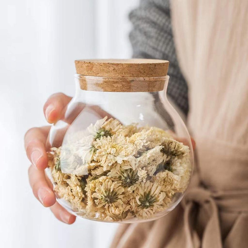 Spherical Glass Food Storage Container with Cork Lids Sealed Glass