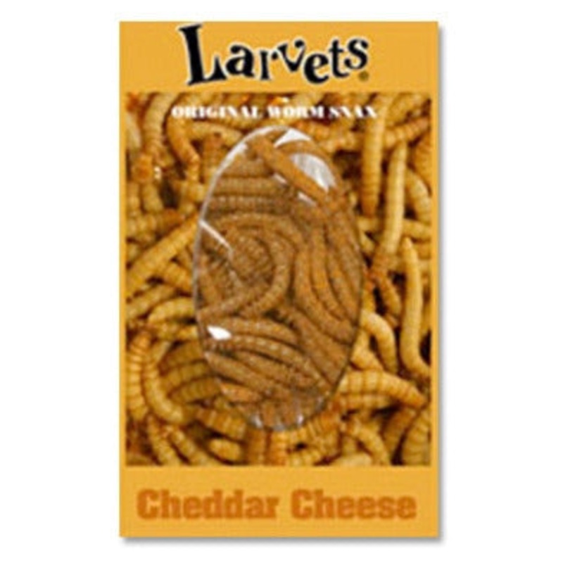 Hotlix Larvets Insect Snack Cheddar 2gm - best before Apr 2025