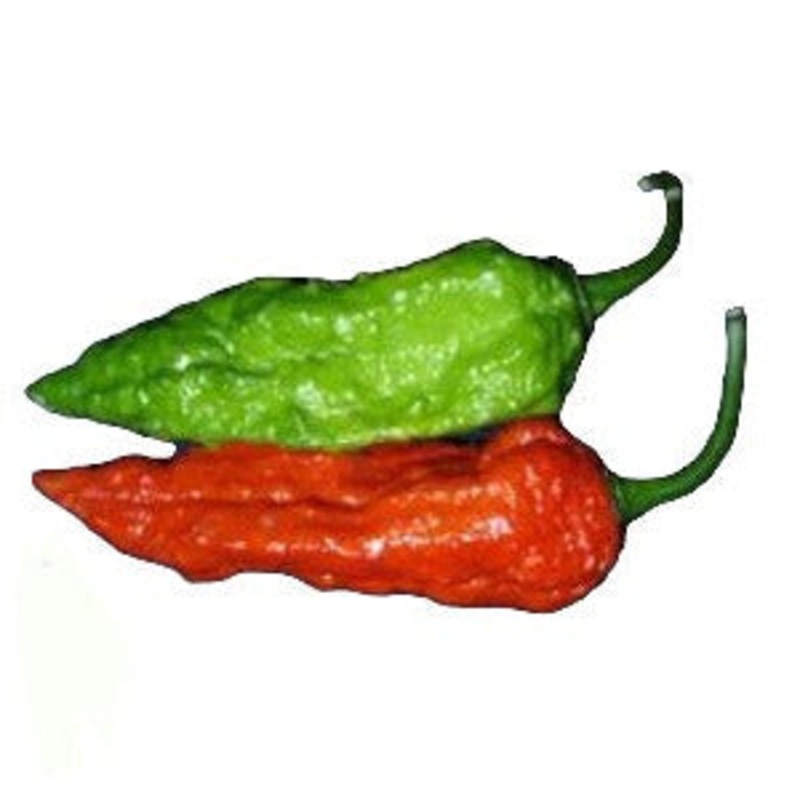 Seeds - Chile Bhut Jolokia Ghost Pepper