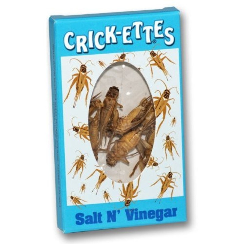 Hotlix Crickettes Insect Snack Salt and Vinegar 1.4gm - best before 5-8-25