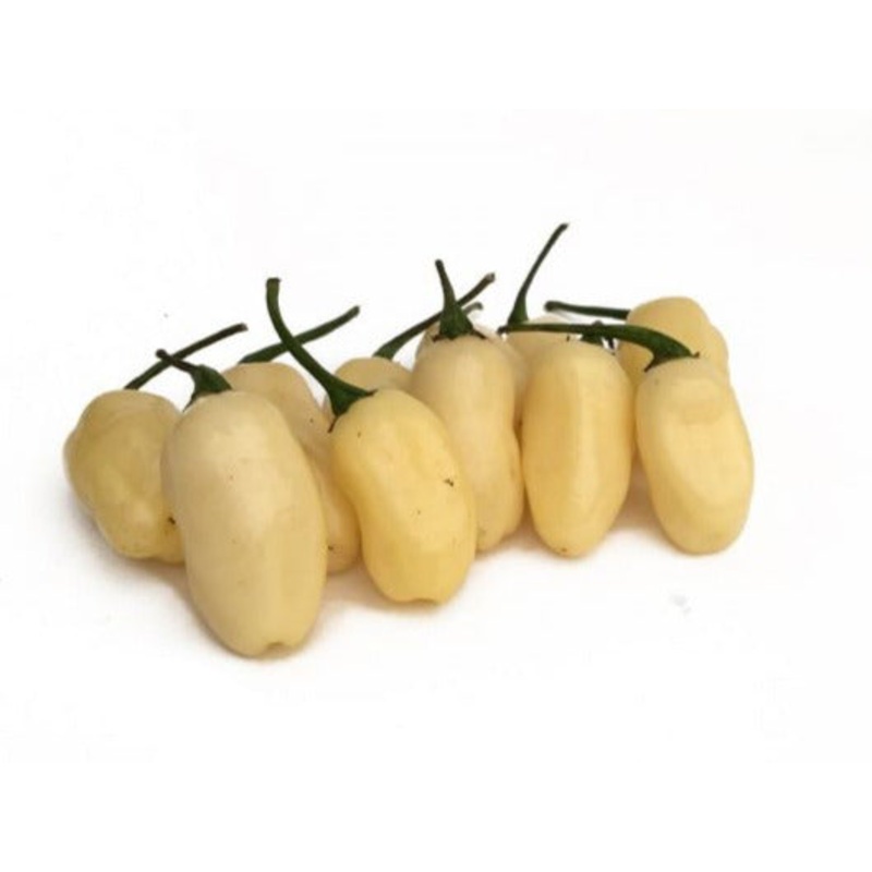 Seeds - Chile Habanero White Jellybean