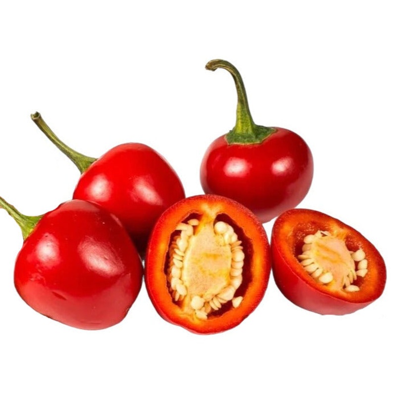 Seeds - Chile Red Hot Cherry Ball