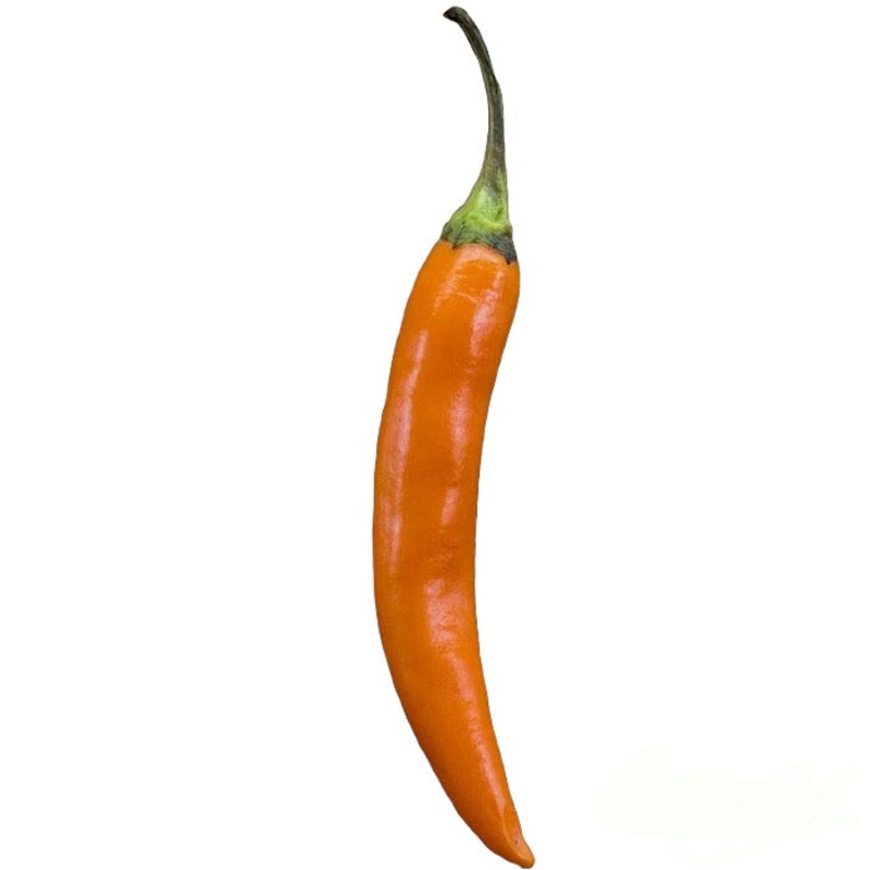 Seeds - chile Cobra Orange