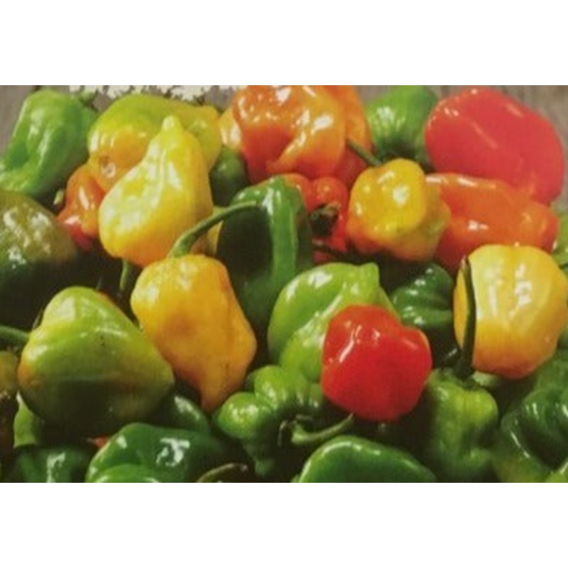 Seeds - Chile Habanero Mixed