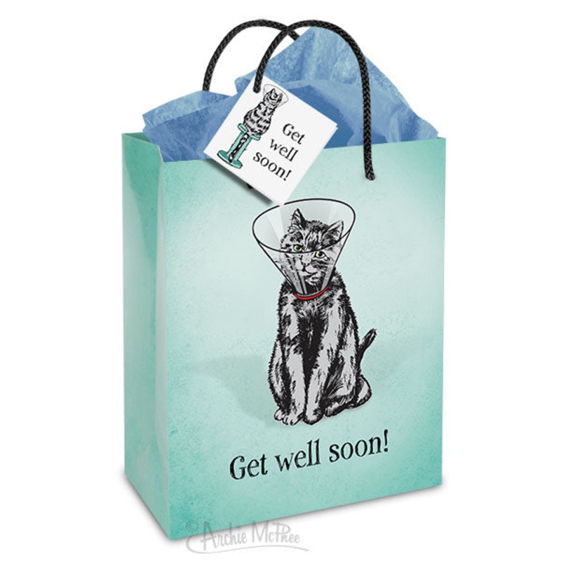Gift Bag - Get Well Soon by Archie McPhee - end of line special