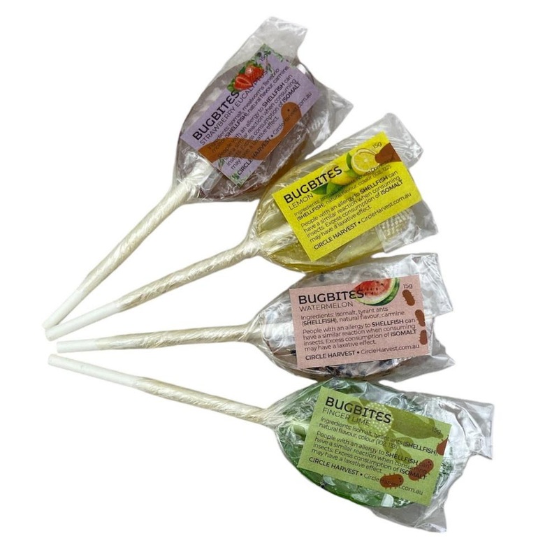 BugBites Real Australian Edible Lollipop - set of 4