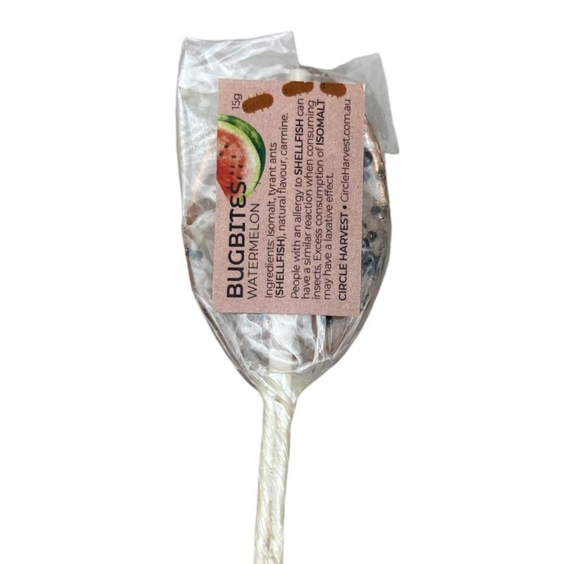 BugBites Real Australian Edible Lollipop - Watermelon with Ants