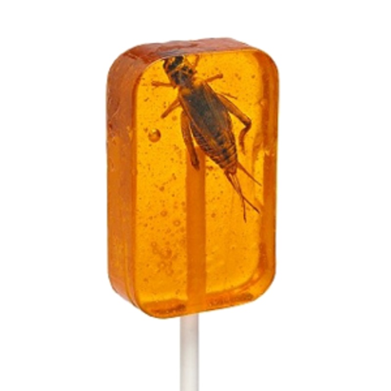 Hotlix Cricket Orange Sucker 28gm