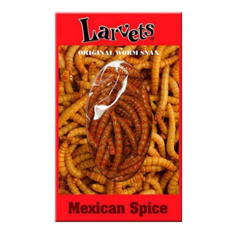 Hotlix Larvets Insect Snack Mexican Spice 2gm - best before Apr 2025