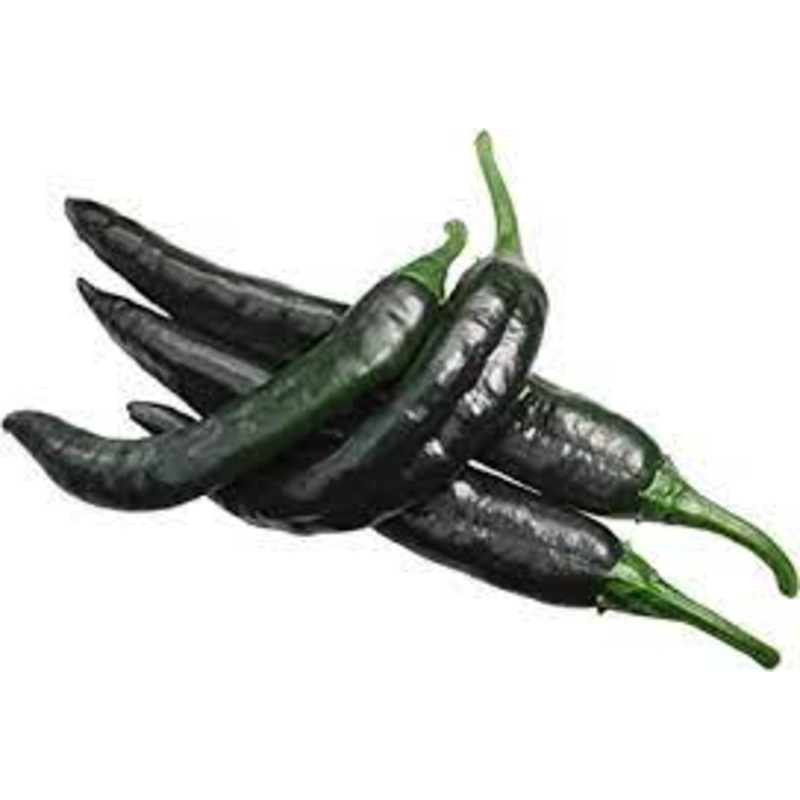 Seeds - Chile Pasilla