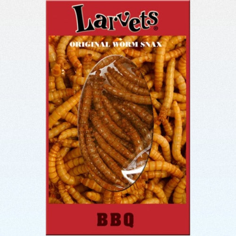 Hotlix Larvets Insect Snack BBQ 2gm - best before Apr 2025