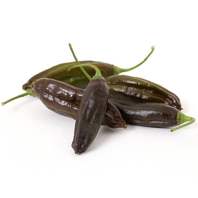 Seeds - chile Aji Panca (brown)