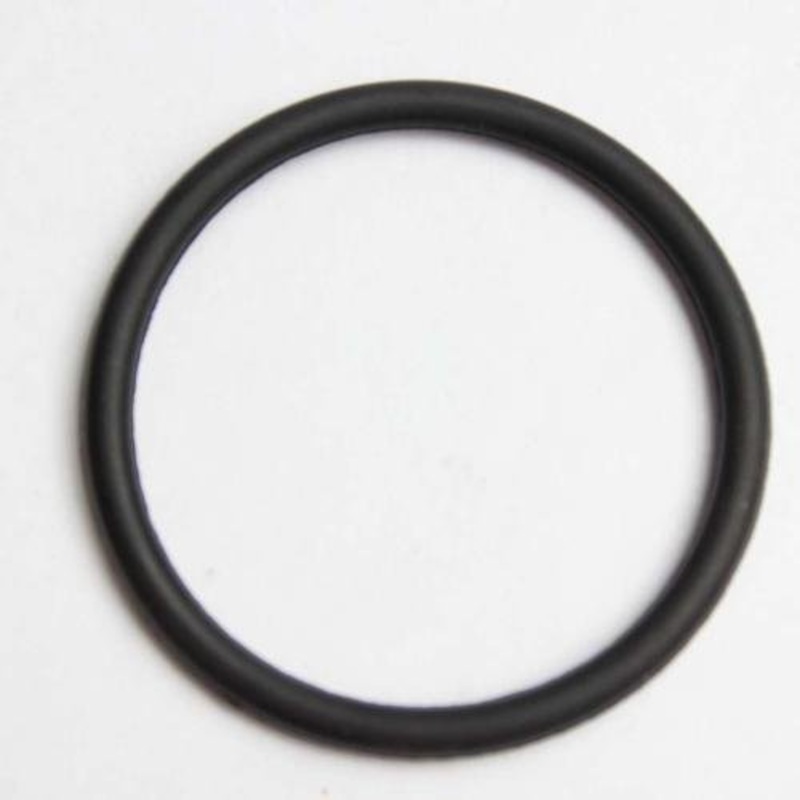 Delonghi TRN0812TK Oil Filled Radiator Gasket
