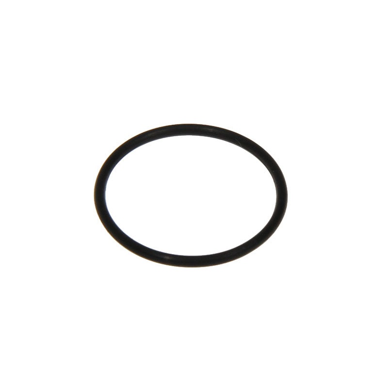 Delonghi Espresso Machine O-Ring (Di=24.8) - 5313214431