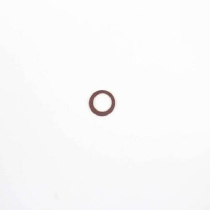 Delonghi Washer 8,2X12X0,5 - BR67000297