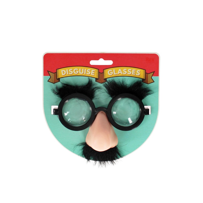 Rex London Classic Disguise Glasses