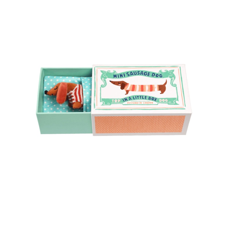Rex London Sausage Dog in a Little Box