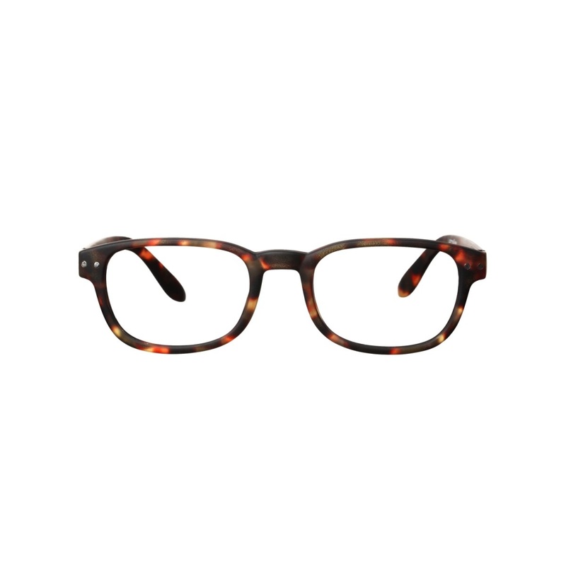 IZIPIZI Reading Shape #B +2 Tortoise