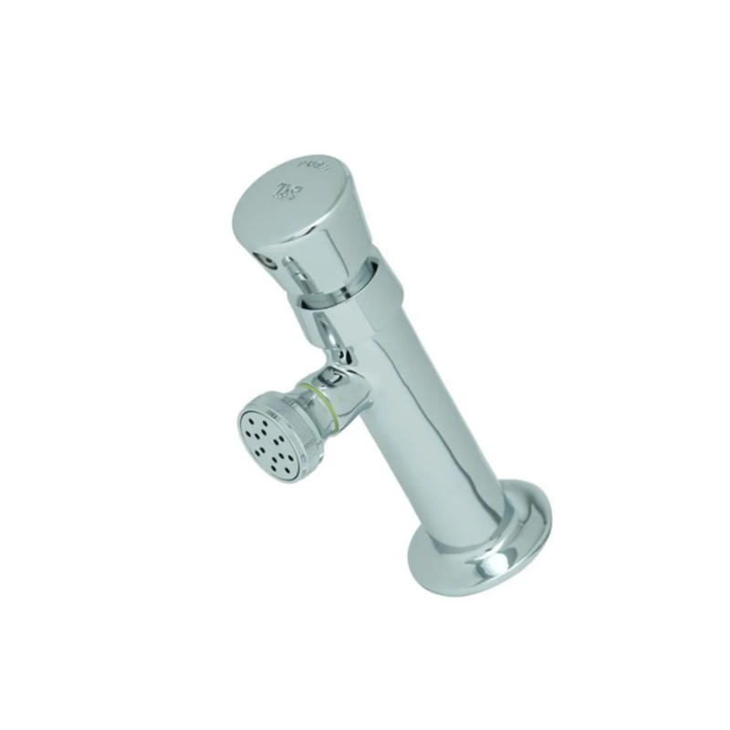 T&S Brass B-0800 Wash Sink Faucet, Push Button, 6 1/2 in